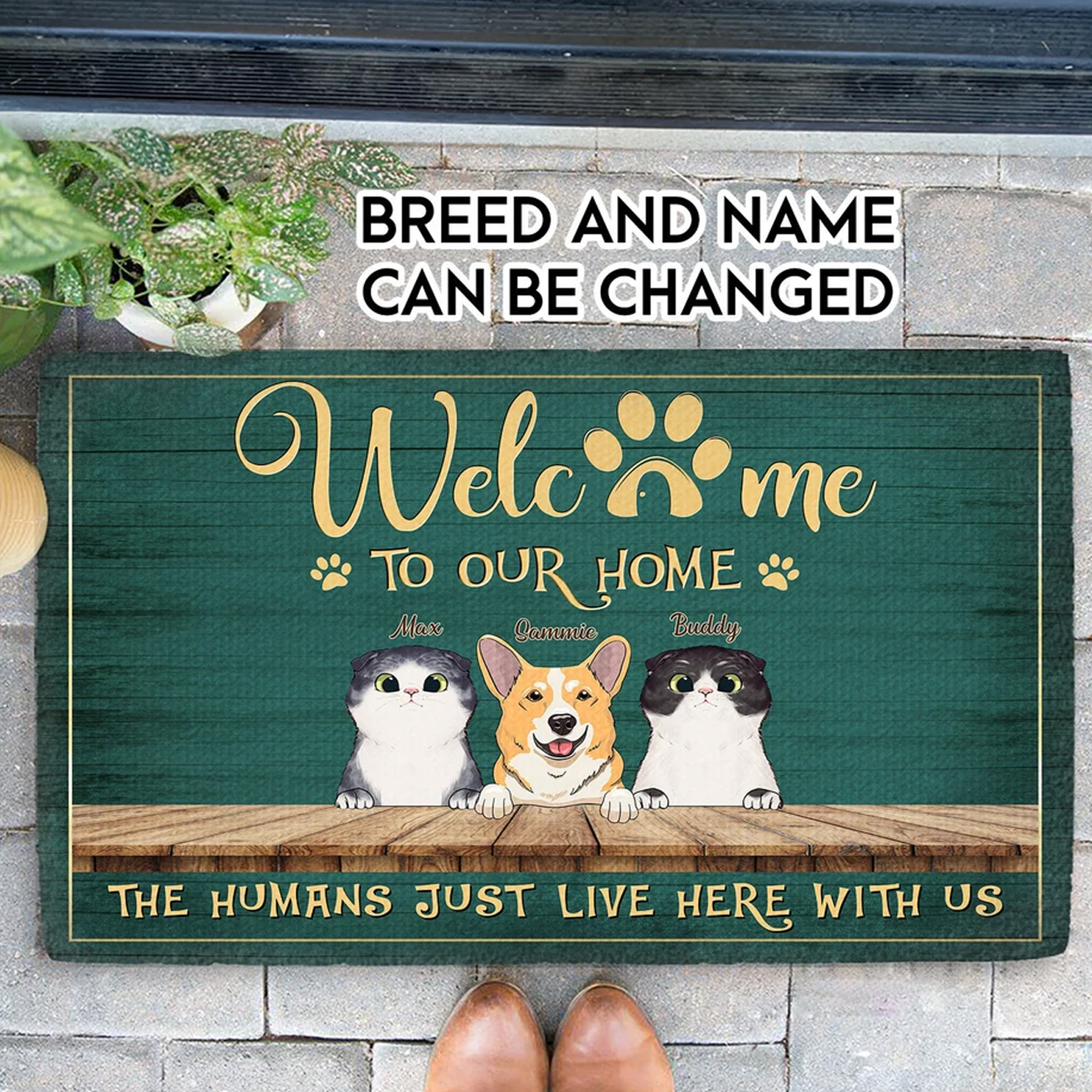 Funny Personalized Dog Cat Decorative Mat Welcome To Our Home Doormat Custom Dog Cat Doormat Funny Welcome Mat Gift For Dog Cat Mom Dad